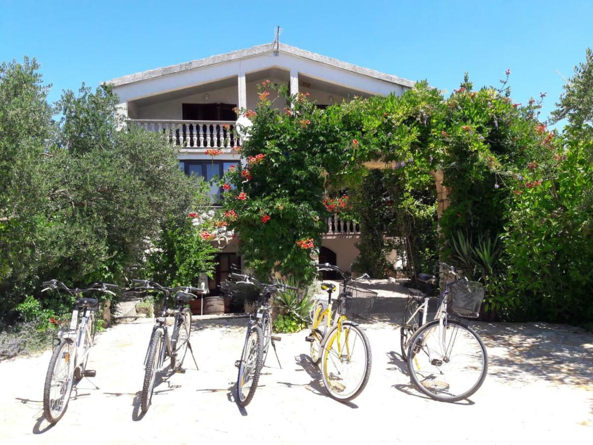 Apartments Marinka Biograd Na Moru Exterior photo